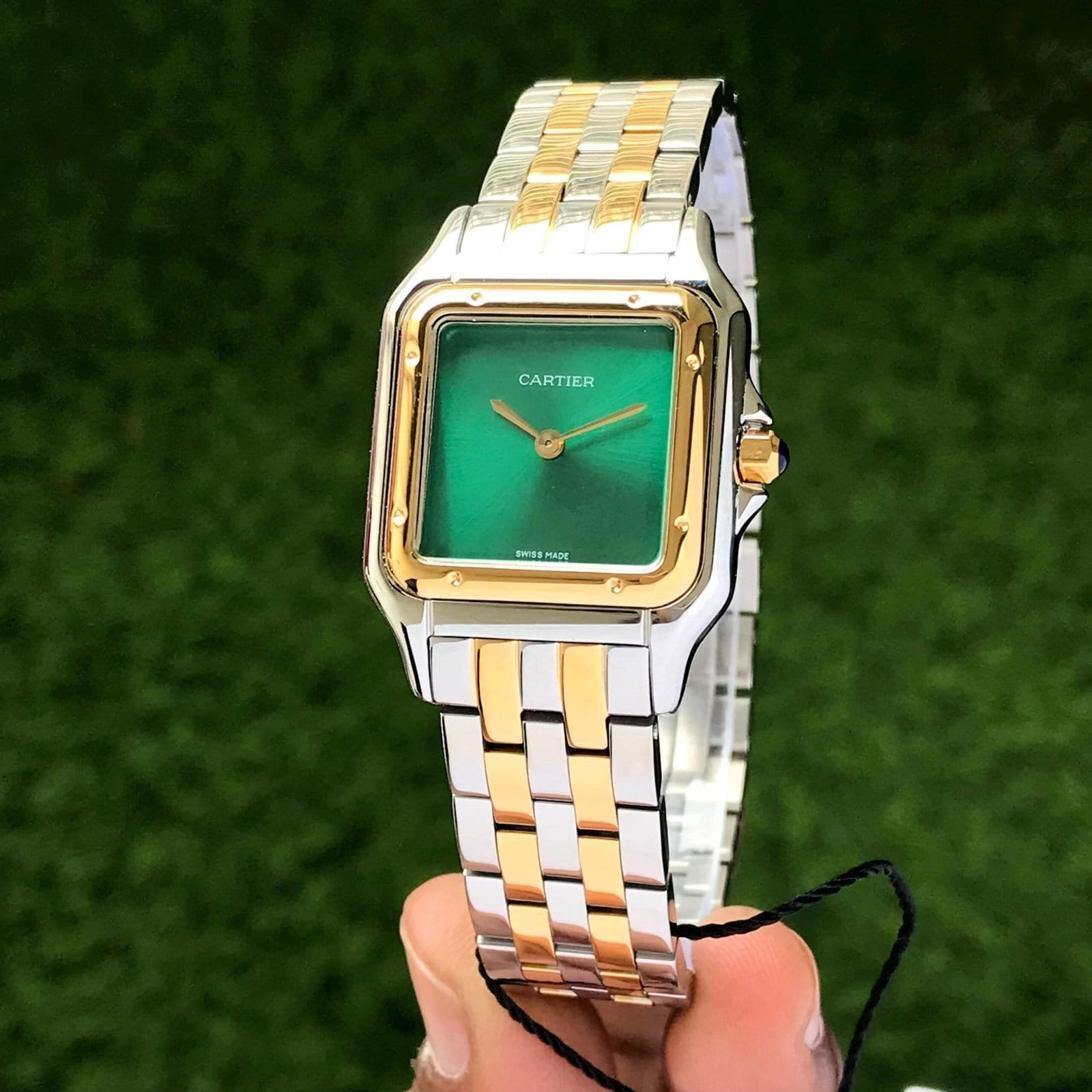 Cartier Panthere De Santos