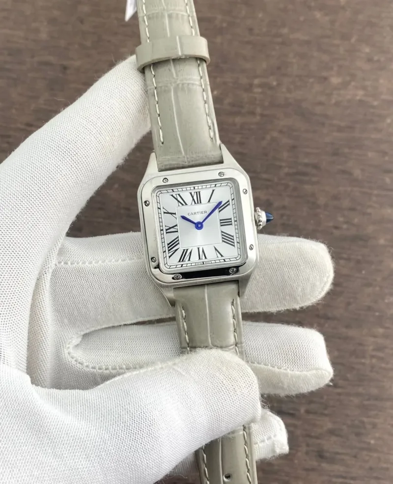 CARTIER Santos Dumont LAQUER