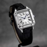 Cartier Santos De Cartier WSSA0018