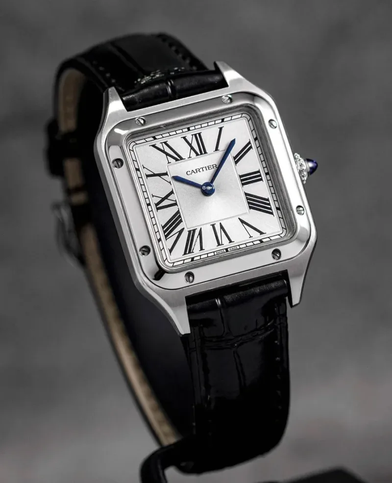 Cartier Santos De Cartier WSSA0018